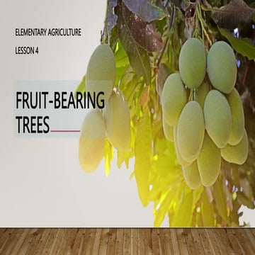 EA 6_SECOND QUARTER_LESSON-4-FRUIT-BEARING-TREES-1.pptx