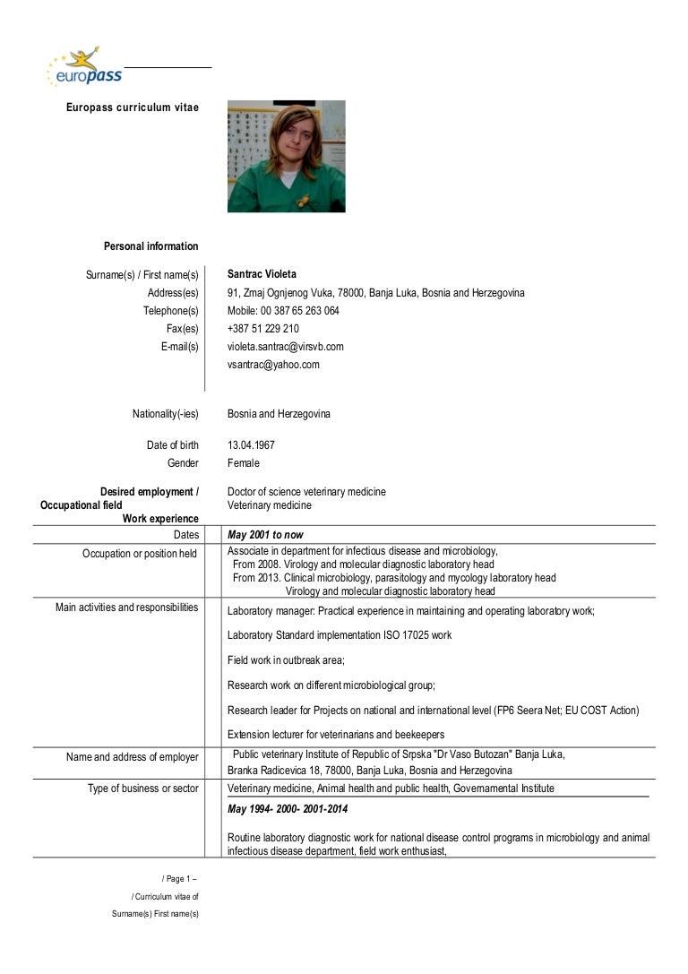 europa cv format
