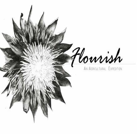 Interior Design Btech Year Portfolio