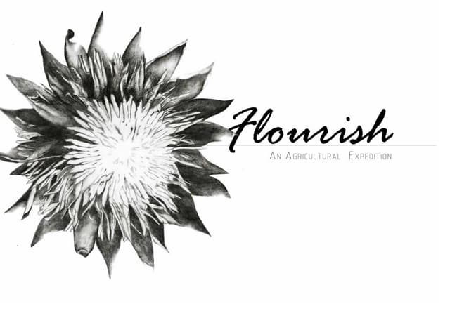 Interior Design Btech Year Portfolio
