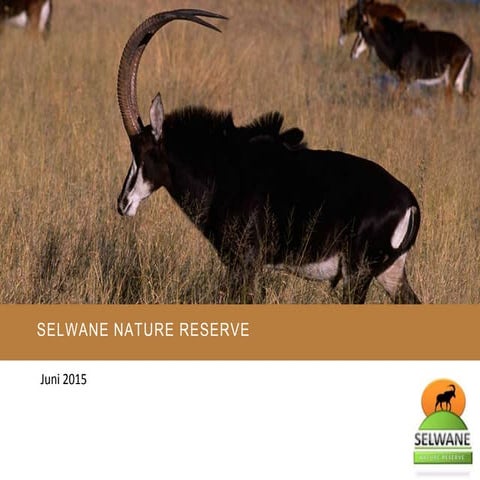 Selwane Nature Reserve Juni 2015