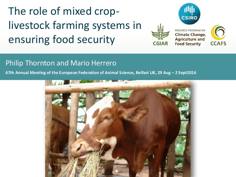 The role of mixed croplivestock farming systems in ensuring food sec…