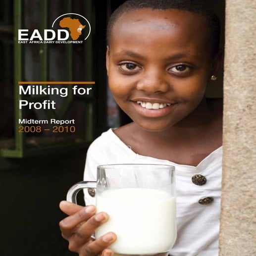 Eadd mid term report 2008 2010