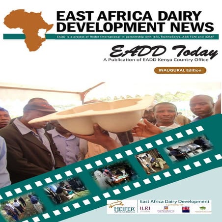 Dairy Value Chain Uganda Report | PDF