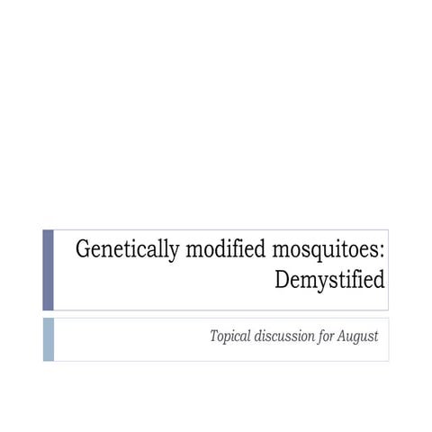 Genetically modified mosquitoes
