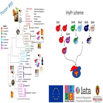 iterative Hybrid Production Technology