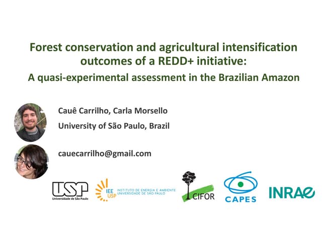 thumbnail of  Forest conservation and agricultural intensification outcomes of a REDD+ initiative: A quasi-experimental assessment in the Brazilian Amazon