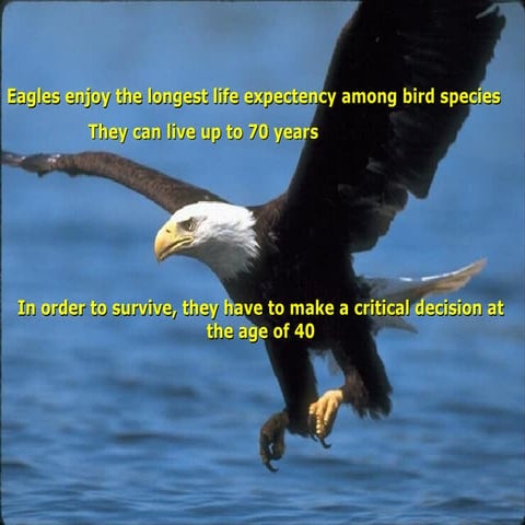 Motivational lessons From Eagle | PPT
