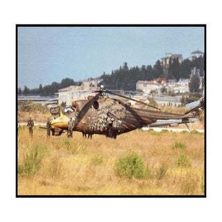 Eagle Painted Helicopter