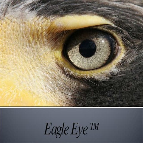 Eagle Eye Safe City 1.0 Corporate Apr 2009 | PPT