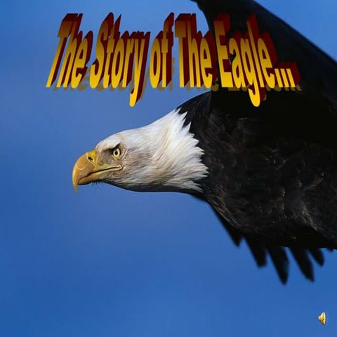 eagle_rebirth.ppt