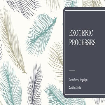 Exogenic Processes 