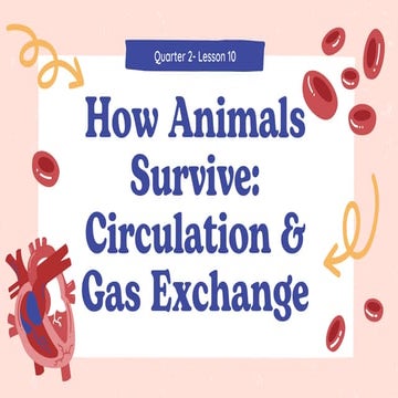 How Animals Survive: Circulation and Gas Exchange