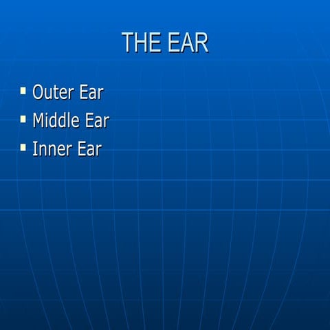 Ear Anatomy