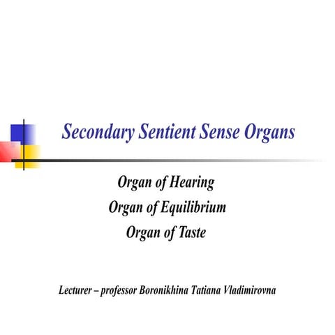 Histology: Secondary Sentiment Sense Organs - The Ear | PPT