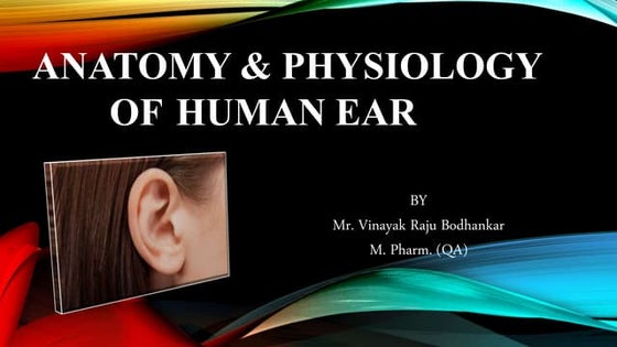 Ppt gr.3 ears | PPT | Ear, Nose and Throat Conditions | Diseases and ...