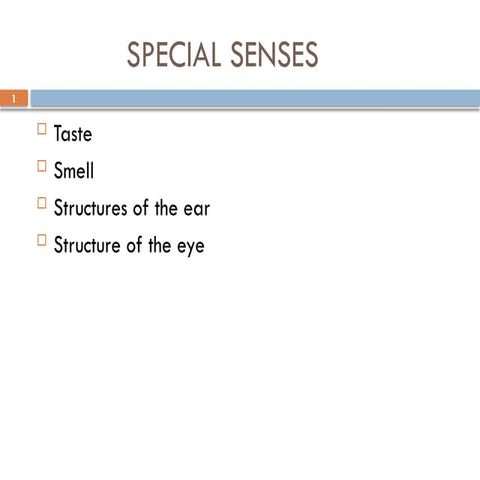 Anatomy of goat ear | PPTX