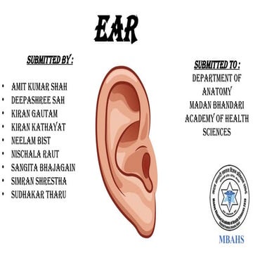 Anatomy and physiology of ear | PPT