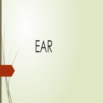 Anatomy of Ear | PPTX