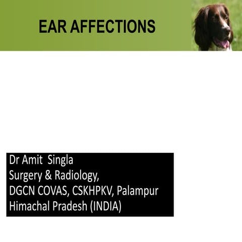 Ear affections