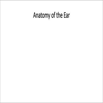 ear anatomy.pdf