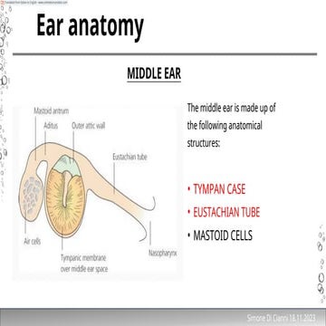 ear anatomy and its blood and nerve supply.pdf