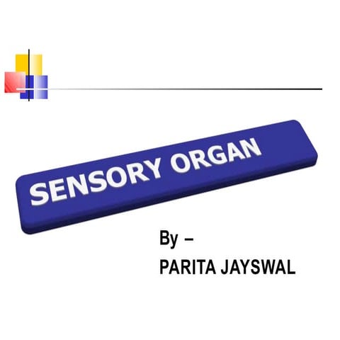 Ear Anatomy & Physiology 