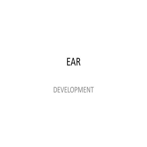 Ear final