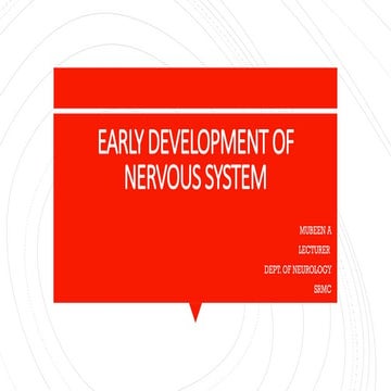 Early Development of the Nervous System: From Neural Tube to Brain ...