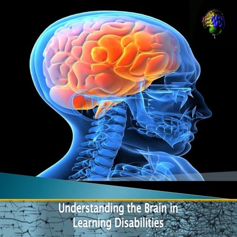 Early identification and brain behaviour relationship essay coursera july 2014