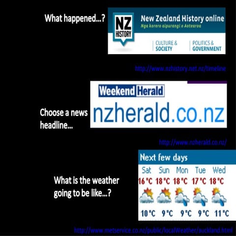 Early Morning Activity