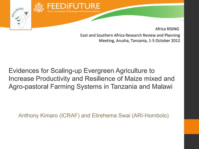 Evidence for scaling-up evergreen agriculture to increase productivity and resilience of maize mixed and agro-pastoral farming systems in Tanzania and Malawi 