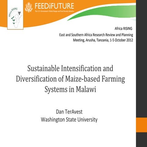 Sustainable intensification and diversification of maize-based farming system...
