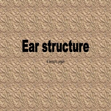 Ear structure