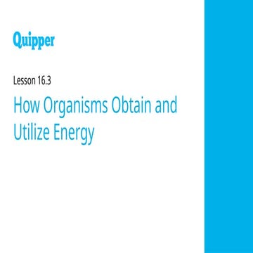 Earth and Life Science SHS 16.3 How Organisms Obtain and Utilize Energy.pptx