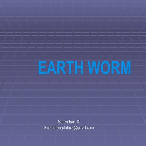 Detail study of Earthworm for class 11 NEB B | PPTX