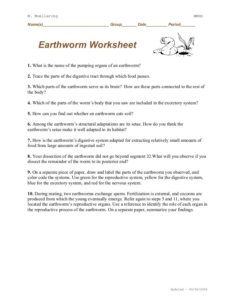 Worksheets Earthworm Dissection Worksheet earthworm dissection worksheet