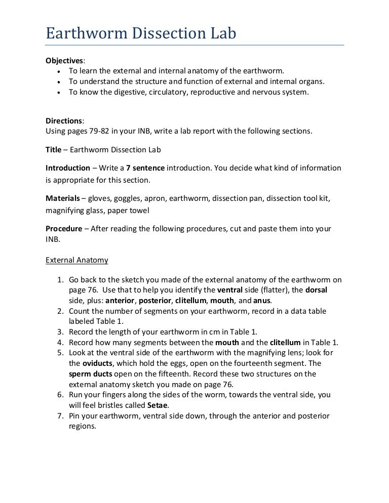 Worksheets Earthworm Dissection Worksheet earthworm dissection lab report