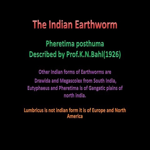 Indian Earthworm (Pheretima posthuma)ppt.pdf
