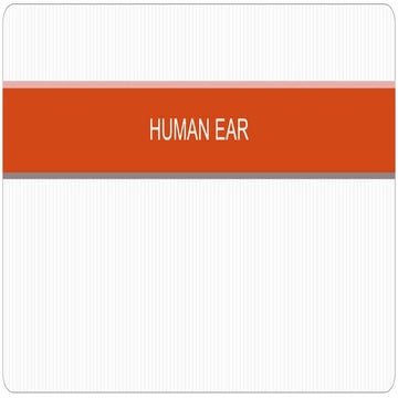 Human Ear 