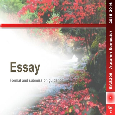 Eas205 2015 16 essay