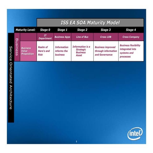 Ea Soa Maturity Model (070204)