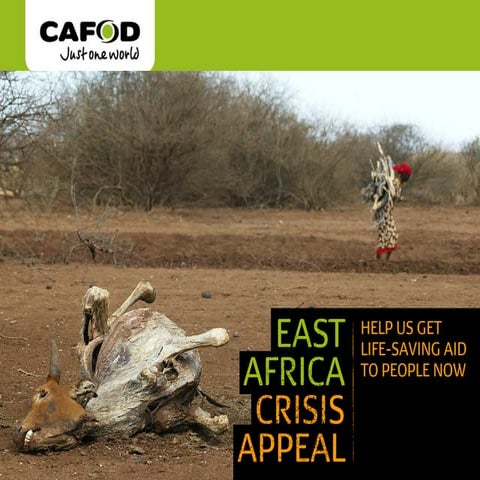East africa appeal   gallery