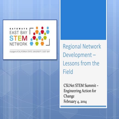 Regional Network Development: Lessons from the Field