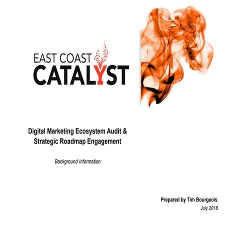 Marketing Audit Example