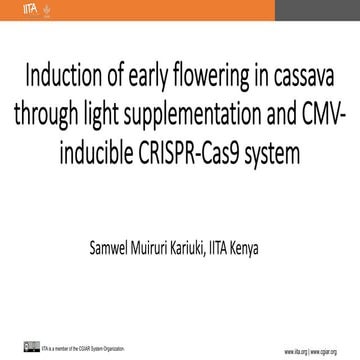 Induction of early flowering in cassava  through light supplementation and CM...