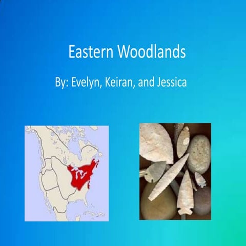 Eastern woodlands2