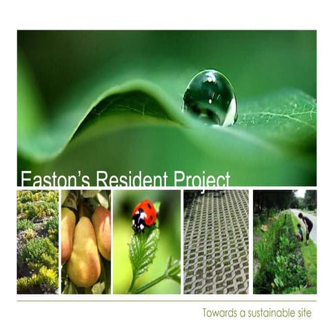 Easton’s resident project