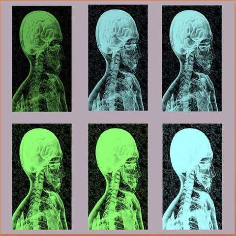 Lernen durch praxisrelevantes Networking