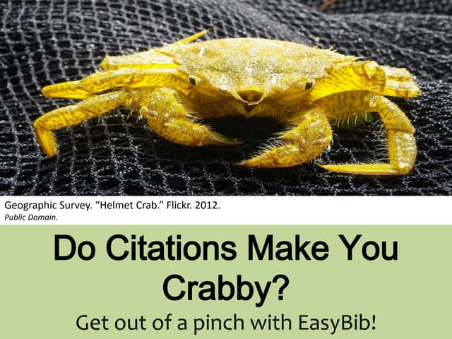 Preface to an EasyBib Workshop -- The Basics of Citation